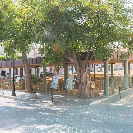 Apartman Casa Canevaro *